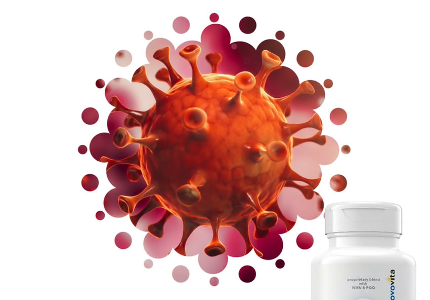 CoronaVirus