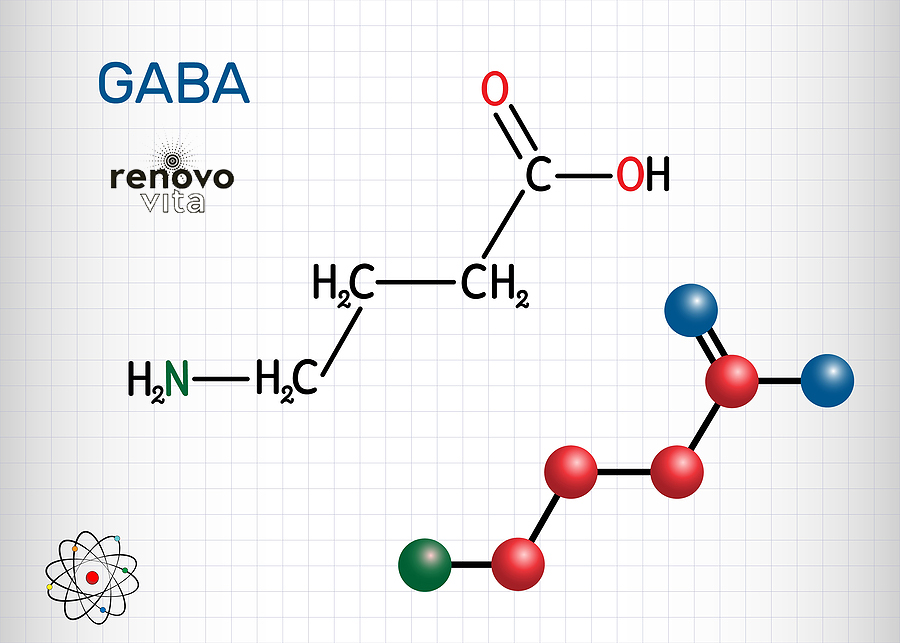 RenovoVita Zero-N Ingredient spotlight #6 Gaba