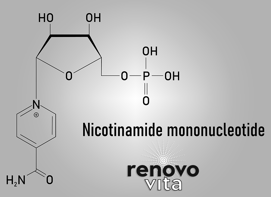 Longevity in a Capsule? NMN Delivers Powerful Results