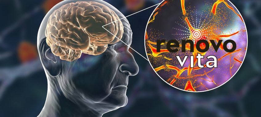 Memory enhancement Renovovita Zero-N
